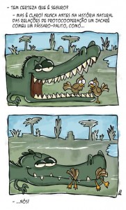 Animal Kingdom