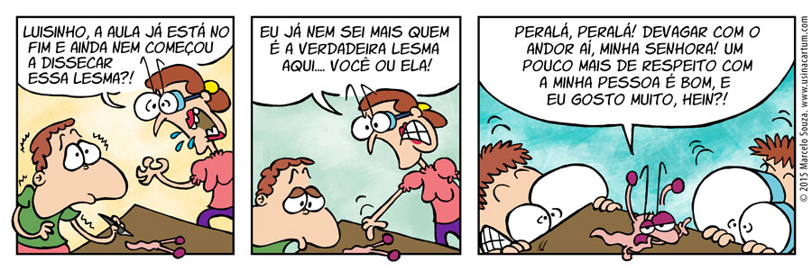 B&B 0016