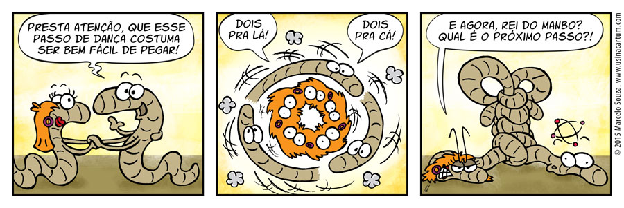 Brou & Broa 0021